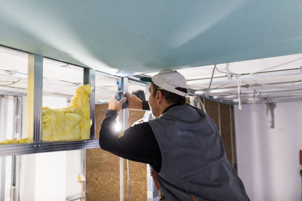 Best Eco-Friendly Insulation in Oak Grove, MO
